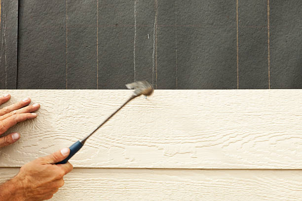 Best Fascia and Soffit Installation  in Goose Creek, SC
